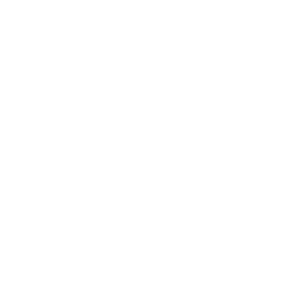 International Holding Company (IHC)